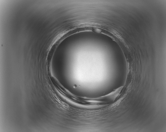 X0000060260877200510281203