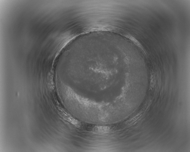 X0000060260878200510281203