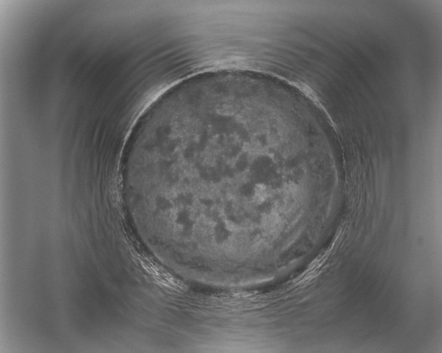 X0000060260879200510281203