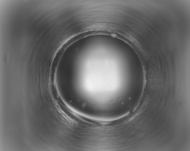 X0000060260880200510281203