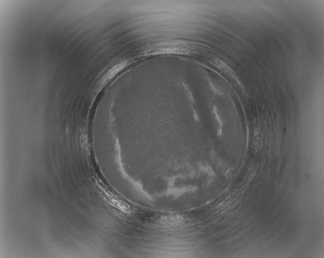 X0000060260882200510281203