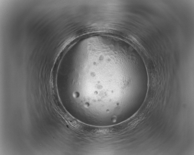 X0000060260883200510281202