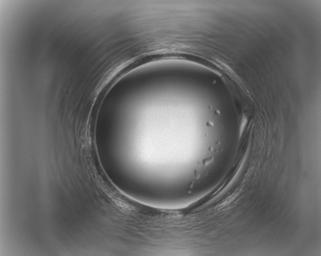 X0000060260885200510281202