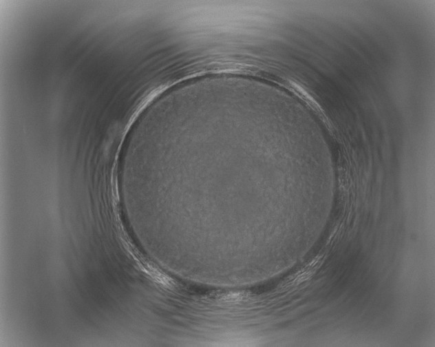 X0000060260891200510281202