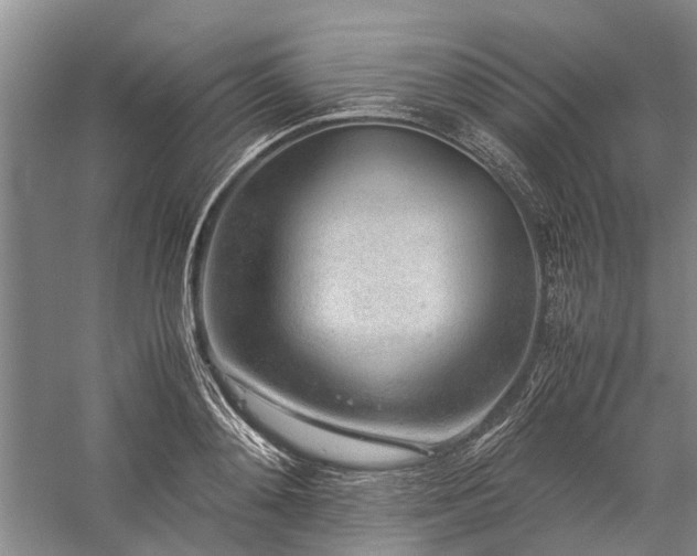 X0000060260892200510281202