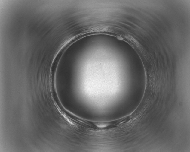 X0000060260894200510281202