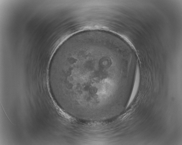 X0000060260895200510281202