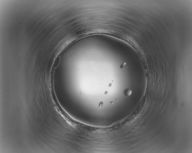 X0000060260898200510281202