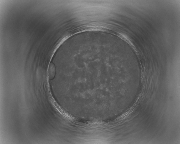 X0000060260899200510281202