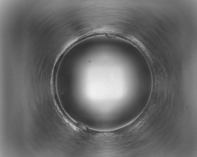 X0000060260902200510281202