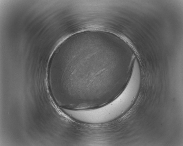 X0000060260904200510281202