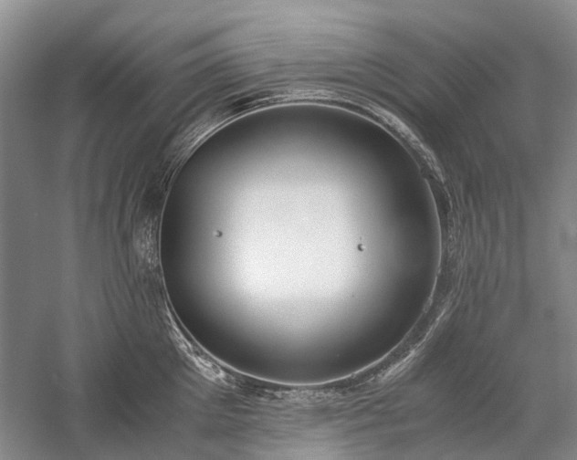 X0000060260905200510281202