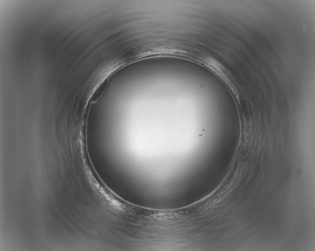 X0000060260906200510281202