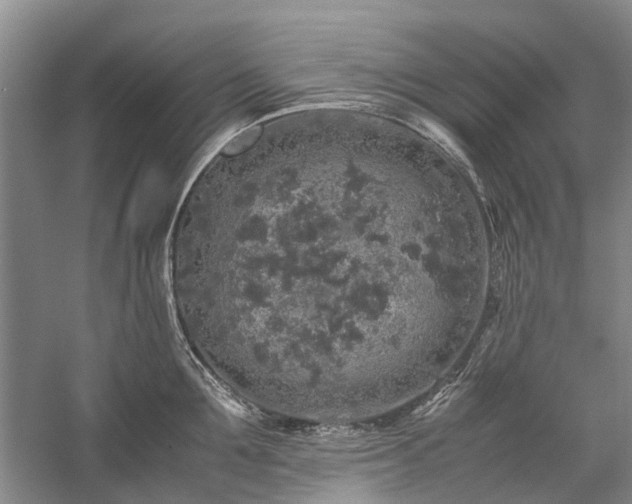 X0000060260907200510281202