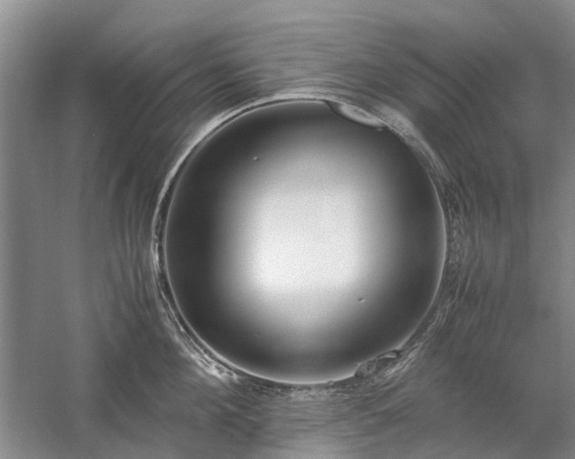 X0000060260908200510281202