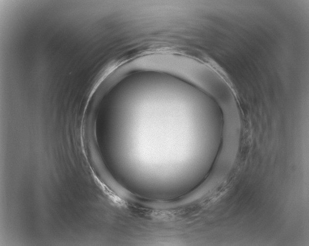 X0000060260909200510281202