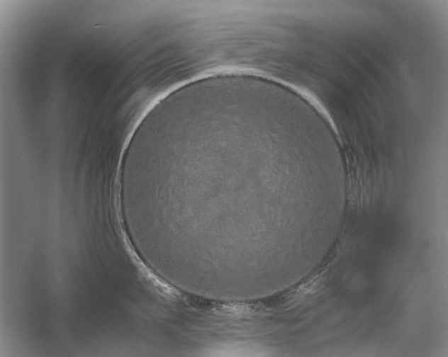 X0000060260911200510281202