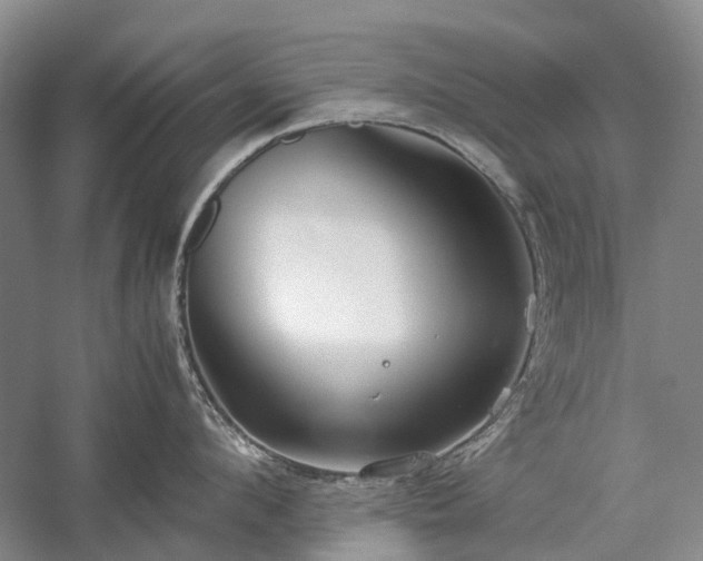 X0000060260912200510281202