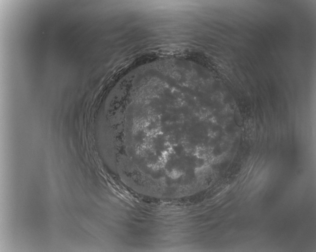 X0000060260913200510281201