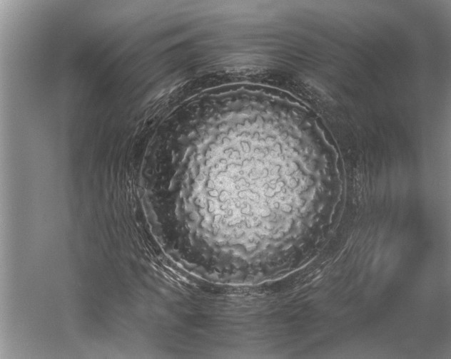 X0000060260917200510281201