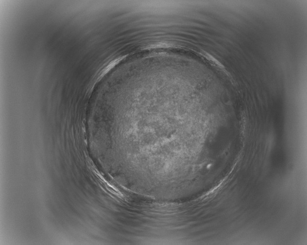 X0000060260921200510281201