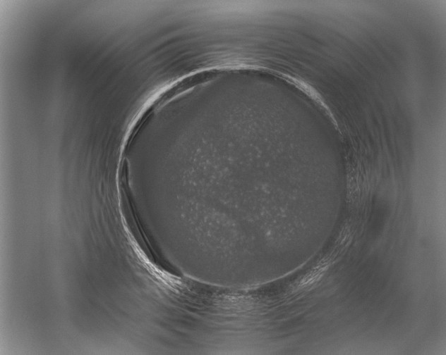 X0000060260935200510281202