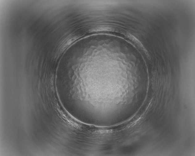 X0000060260937200510281202