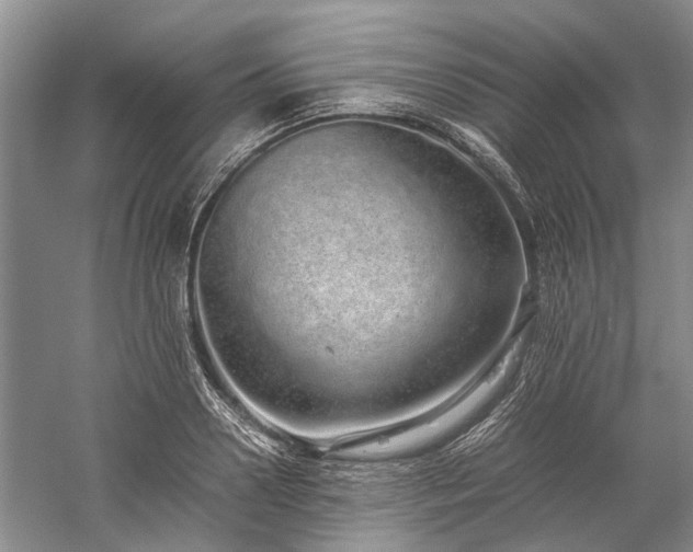 X0000060260938200510281202