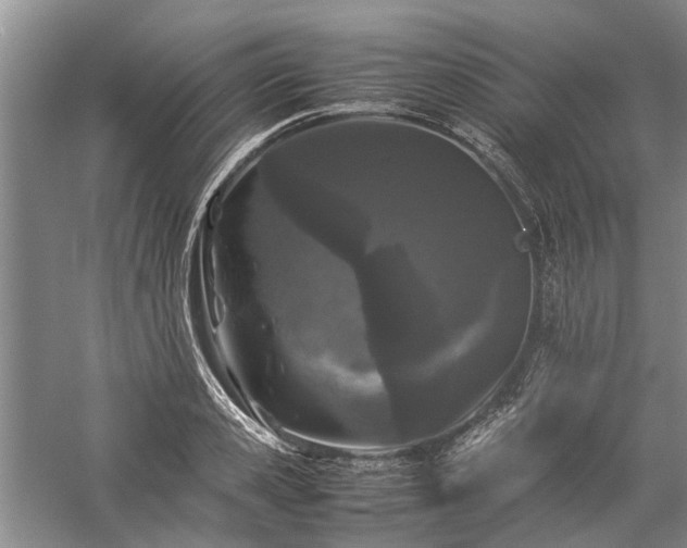 X0000060260941200510281202