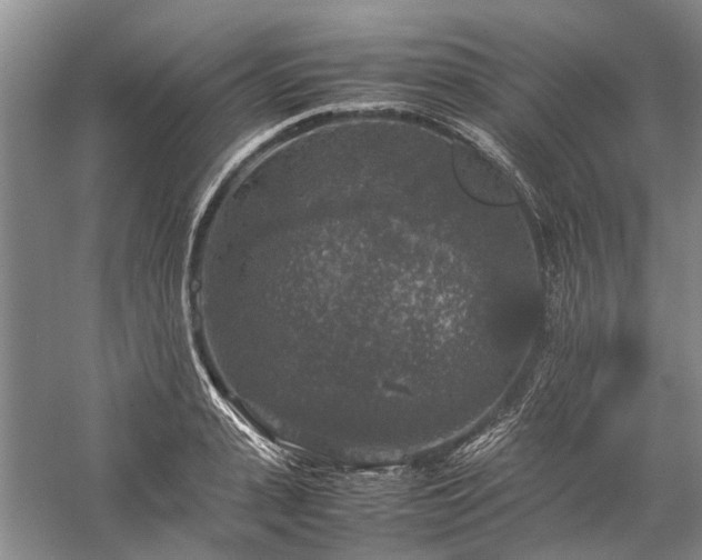 X0000060260943200510281202