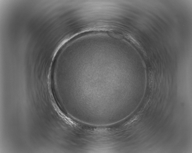 X0000060260944200510281202