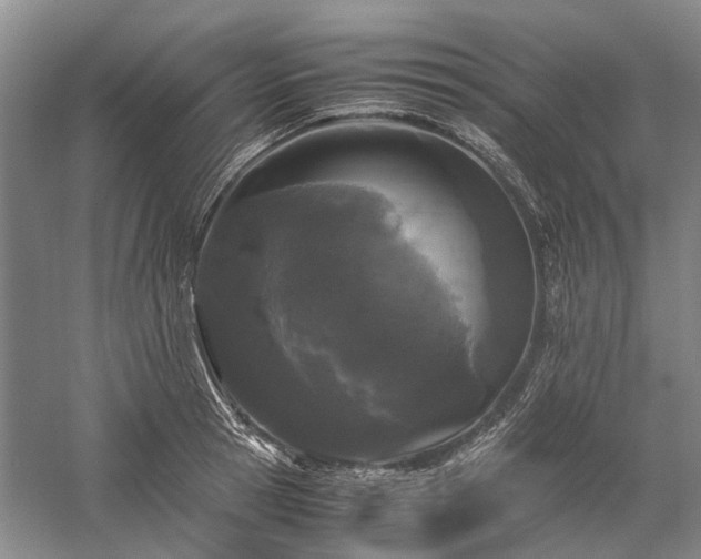 X0000060260945200510281202