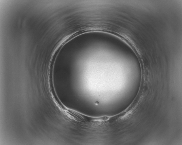 X0000060260949200510281202