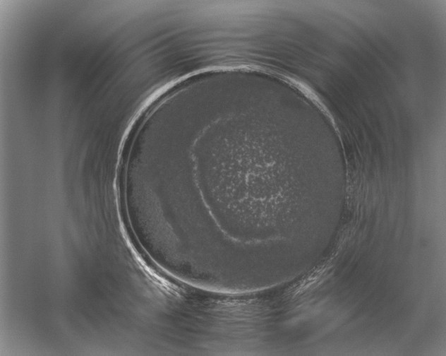 X0000060260951200510281202