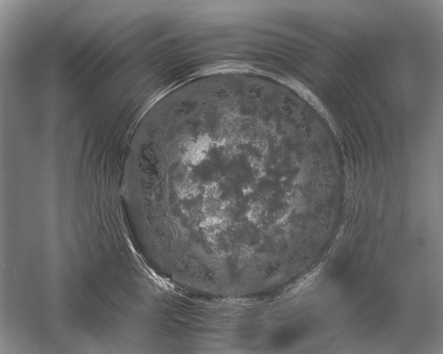 X0000060260953200510281202