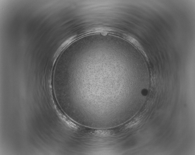 X0000060260954200510281202