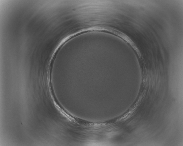 X0000060260958200510281202