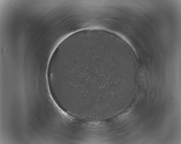 X0000060260959200510281202