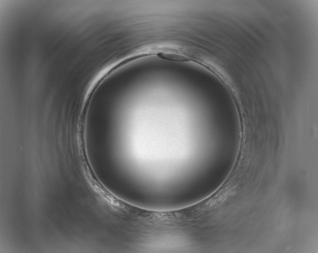 X0000060260960200510281202