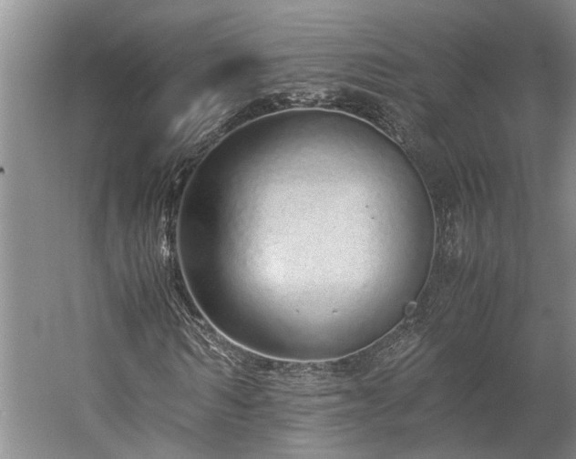 X0000060260962200510281201