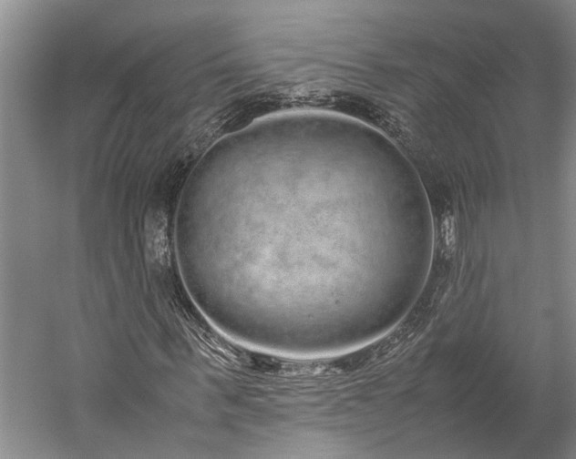 X0000060260963200510281201