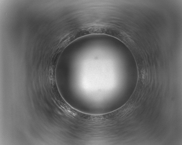 X0000060260964200510281201