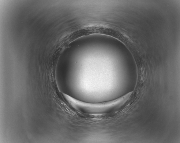 X0000060260965200510281201