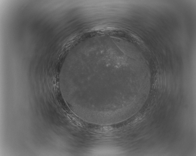 X0000060260966200510281201