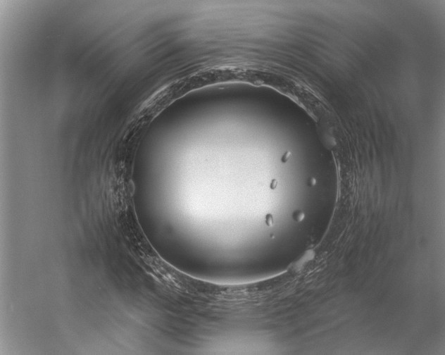 X0000060260968200510281201