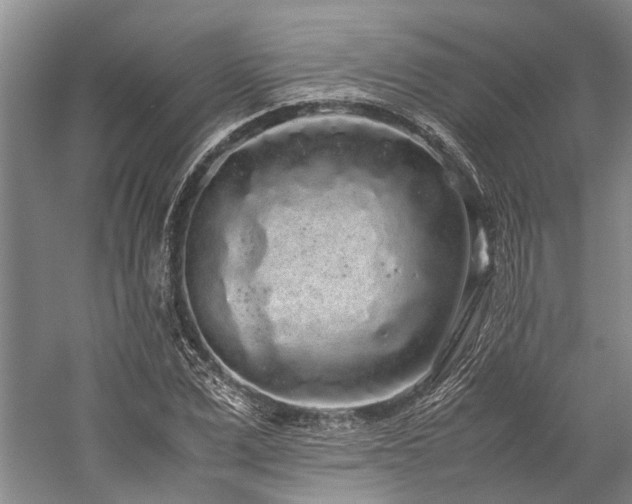 X0000060260975200510281201