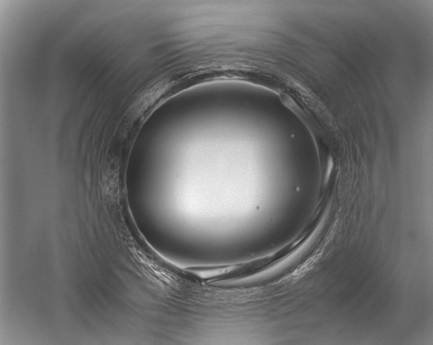 X0000060260977200510281201