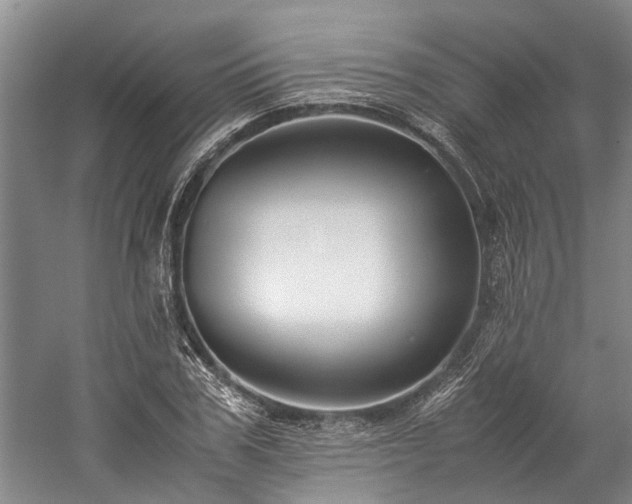 X0000060260979200510281201