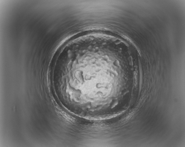 X0000060260983200510281201