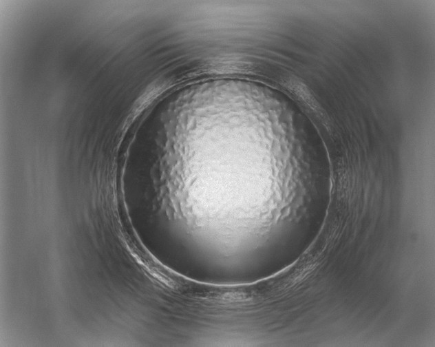 X0000060260986200510281201